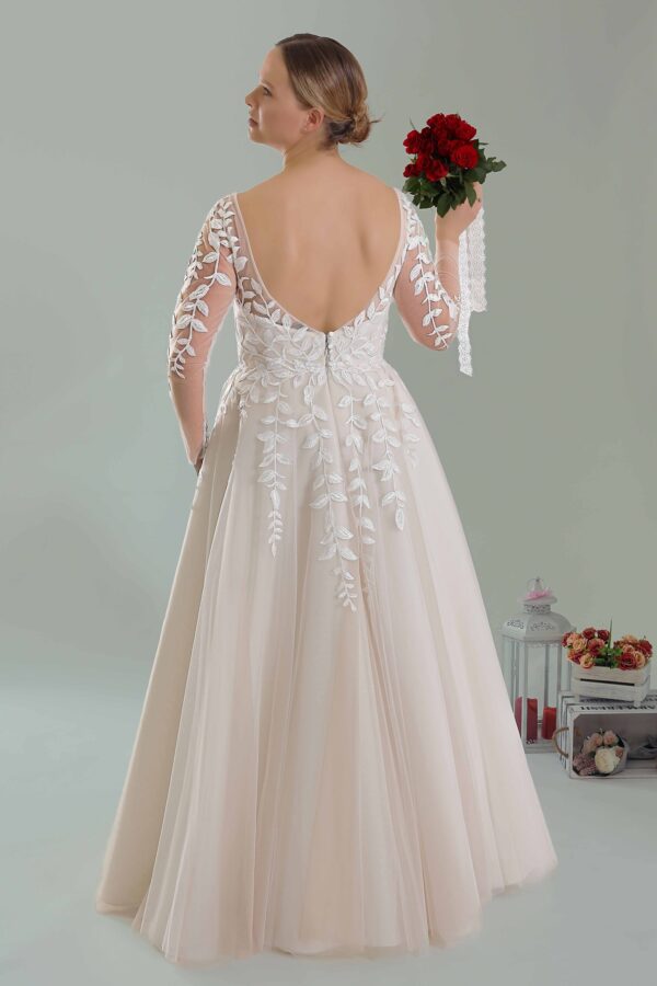 web_2224 (1)