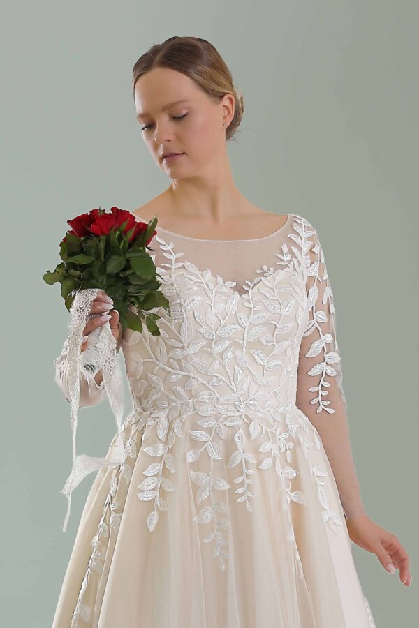 web_2224 (top)