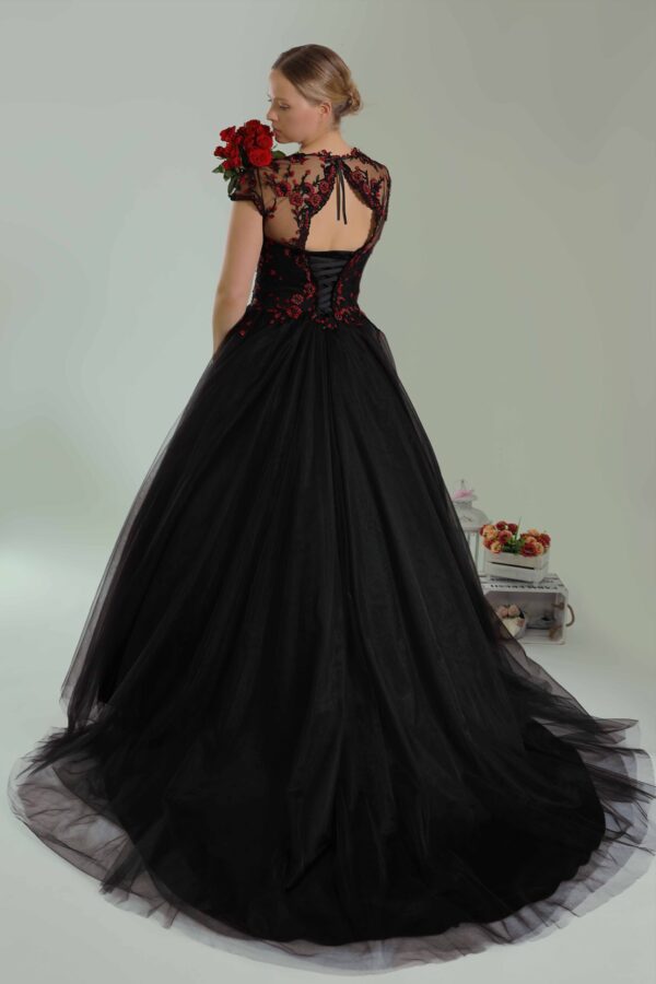 web_2213 (1)