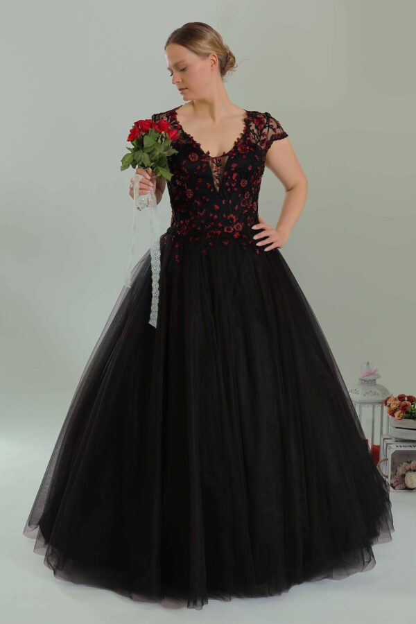 web_2213 (2)