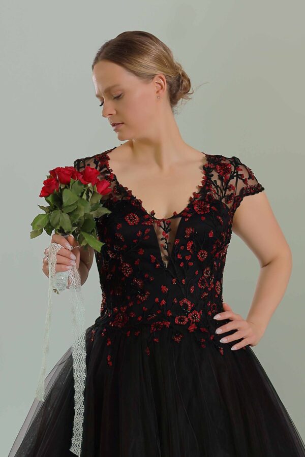 web_2213 (top)