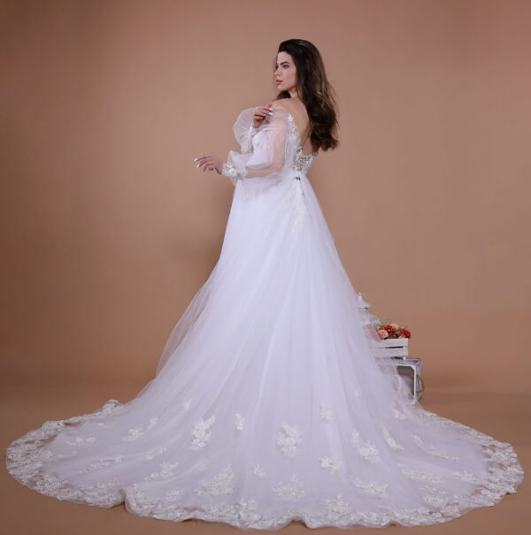 14102 Wedding dress buy Schantal (1)
