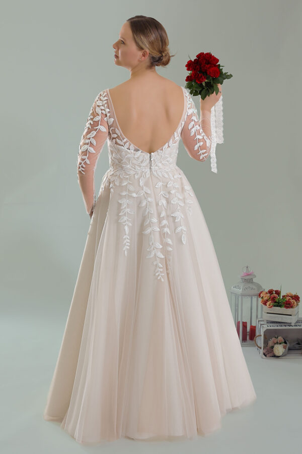 web_2224 (1)